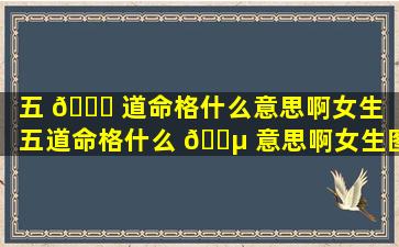 五 🍁 道命格什么意思啊女生「五道命格什么 🌵 意思啊女生图片」